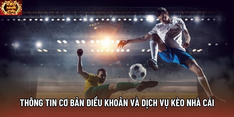 Thông tin cơ bản điều khoản và dịch vụ Kèo Nhà Cái Thông tin cơ bản điều khoản và dịch vụ Kèo Nhà Cái