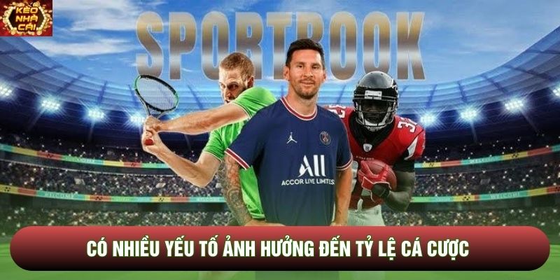 Có nhiều yếu tố ảnh hưởng đến tỷ lệ cá cược